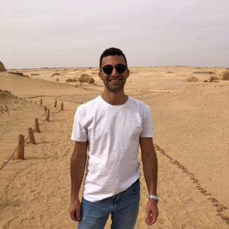 Fady Abdelmalik avatar