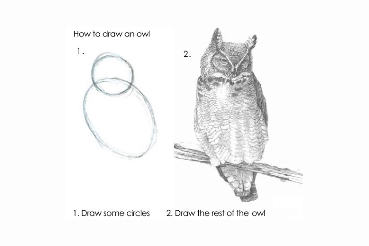 rest of the owl